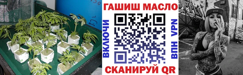 ТГК концентрат Черноголовка