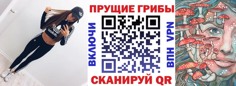 как найти наркотики  Черноголовка  Псилоцибиновые грибы Psilocybe 